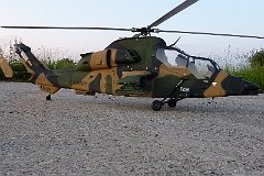 005 (2)  Tiger